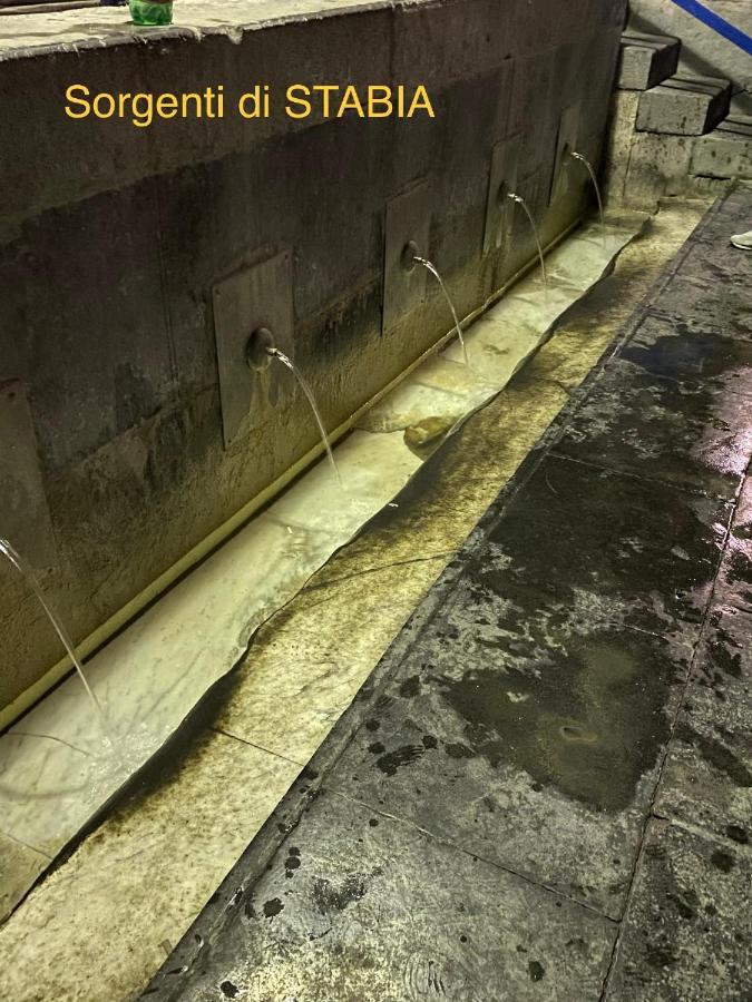 Il Vecchio Pozzo Apartaments Castellammare di Stabia Dış mekan fotoğraf